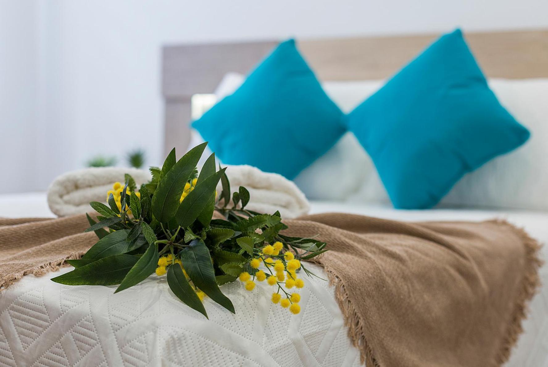 Playa Santa Maria Moderno 3 Rooms Cádiz Exteriör bild